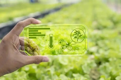 智能農業(yè)管理 人工智能如何賦能現代農業(yè)的精細化發(fā)展