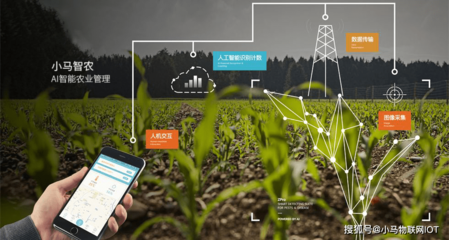 “智慧農業(yè)”助力鄉(xiāng)村振興 智能農業(yè)管理的變革與前景