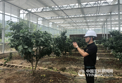 智能農業(yè) 告別“看天吃飯”，開啟“智慧動腦”新紀元