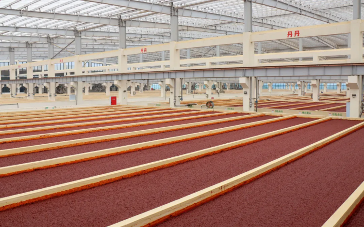 入選國家級重點培育名單！這勺郫縣豆瓣藏著川味的“世界通行證”與智能農業(yè)管理