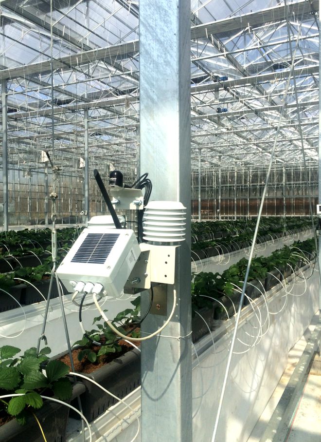 智慧領航 綠意新生——解讀最新設施農業(yè)智能管理項目建設方案