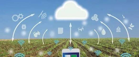 構建新農業(yè) 智能農業(yè)管理的創(chuàng)新與實踐探索