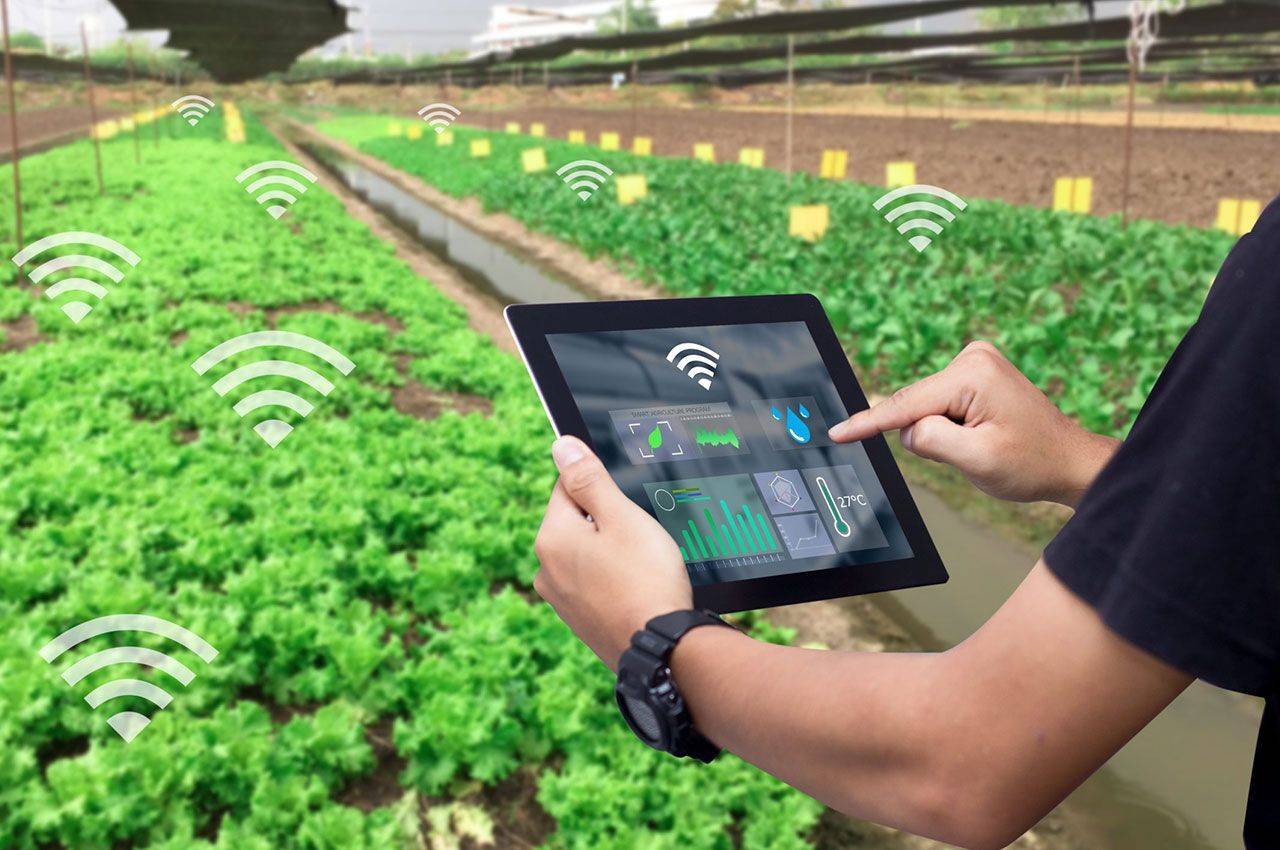 領航鄉(xiāng)村振興 5G智慧農業(yè)助力數字農業(yè)革新