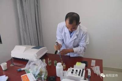 榆陽(yáng)開(kāi)展暑期餐飲服務(wù)專項(xiàng)檢測(cè)，筑牢食品安全防線