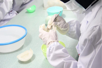 燕窩選購全指南 從入門到精通，找到適合你的那一盞